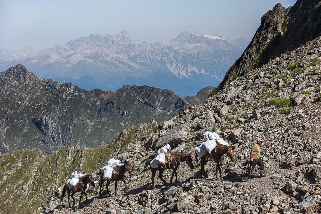 Pack horses carrying luggage along a mountain trail